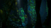 mermaid mystery GIF by Siren