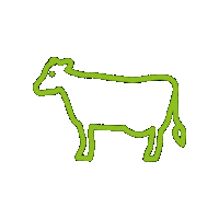 Dairy Cow Sticker by Pinstone