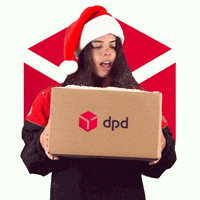 Christmas Delivery GIF by DPD France