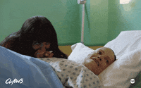 Baby Arlene GIF by ClawsTNT