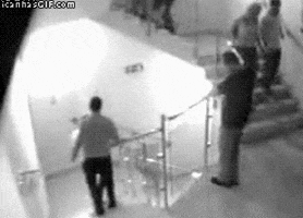 everyone GIF