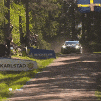 Motorsports Sweden GIF by FIA European Rally Championship