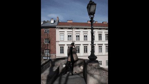 tamargolan giphyupload GIF