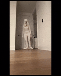 Surprised Dog GIF