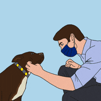 HumanRightsCampaign lgbt lgbtq georgia peach GIF