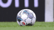 Sankt Pauli Ball GIF by FC St. Pauli