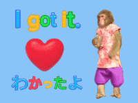 I Got It Fun GIF