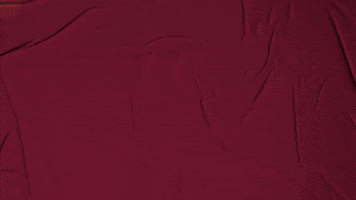College Baseball GIF by Pearl River Athletics
