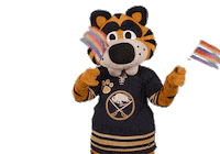 Ice Hockey Sticker by NHL