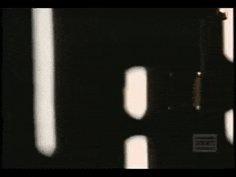 def leppard joe elliot GIF