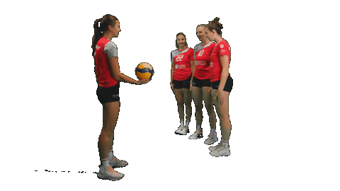 tbasvvolleyball giphyupload volleyball damen1 tbasv Sticker
