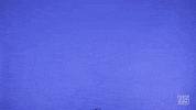 G Men Sport GIF by New York Giants