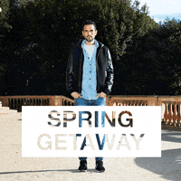 GIF by Wantering