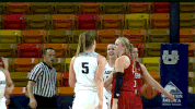 utah state GIF by USUAthletics