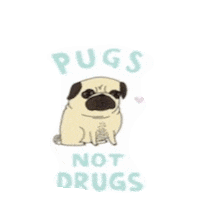 pugs STICKER by imoji
