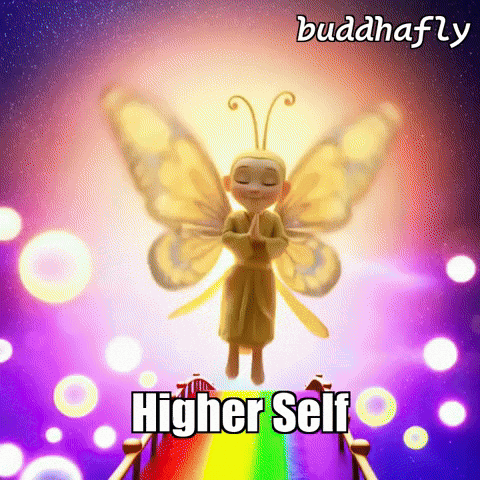 GIF by BuddhaFlyJourney