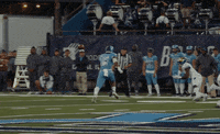Football Catch GIF by Delaware Blue Hens