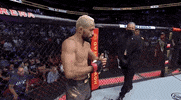 Sport Mma GIF by UFC