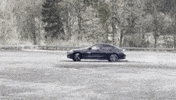 premiumplus car donut teambuilding kristof GIF