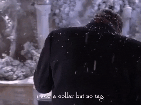 season 5 netflix GIF by Gilmore Girls 