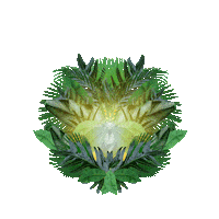 Taogroup Sticker by Tao Beach