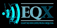 eqxvet horse cavalo eqx eqxvet GIF