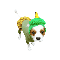 Dogs Love Sticker