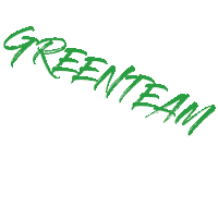 Green Team Ensemble Sticker by USAM NIMES GARD