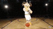 Vcu Rams GIF by VCU Athletics