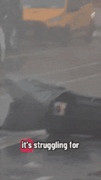 Tired Work GIF