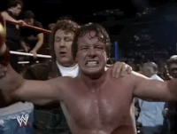 roddy piper wrestling GIF by WWE