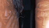 Germany Horror GIF by Wired Productions