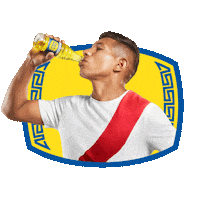 Peru Orgullo Peruano Sticker by Inca Kola