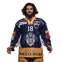Angry Ice Hockey Sticker by EVZ