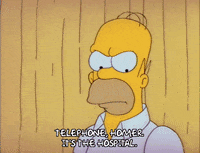 Season 2 GIF by The Simpsons