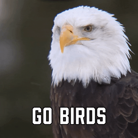 Philadelphia Eagles Sport GIF by Sealed With A GIF