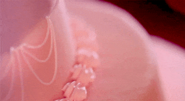Sofia Coppola Pink GIF