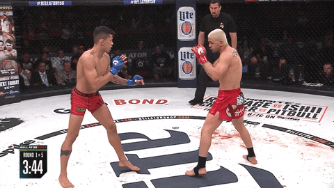 GIF by Bellator