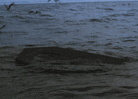 john huston GIF by Maudit