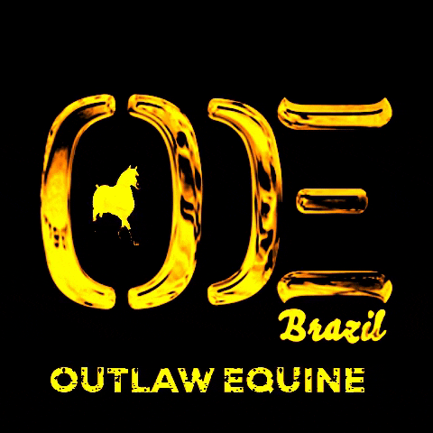 OUTLAWEQUINEVET equine oe laco cavalos GIF