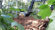 Excavator Grading GIF by JC Property Professionals