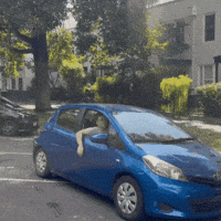Bounce Bouncing GIF