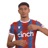 Lets Go Win Sticker by Crystal Palace Football Club