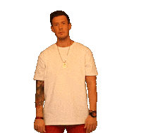 tpa fuck off Sticker by Torben Platzer ATTITUDE