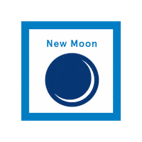 Calendar Judaism Sticker by PJ Library