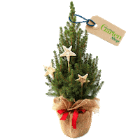Christmas Tree Sticker by Mein schöner Garten