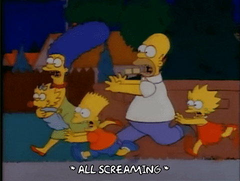 Season 1 GIF by The Simpsons