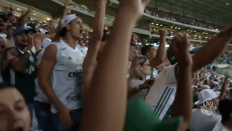 happy celebration GIF by SE Palmeiras