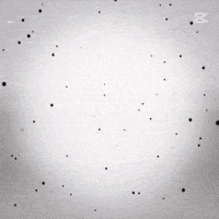 Mincheol GIF