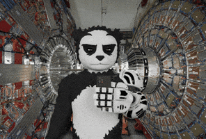 Phone Panda GIF by Endangered Labs